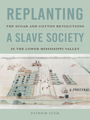 cover image of Replanting a Slave Society
